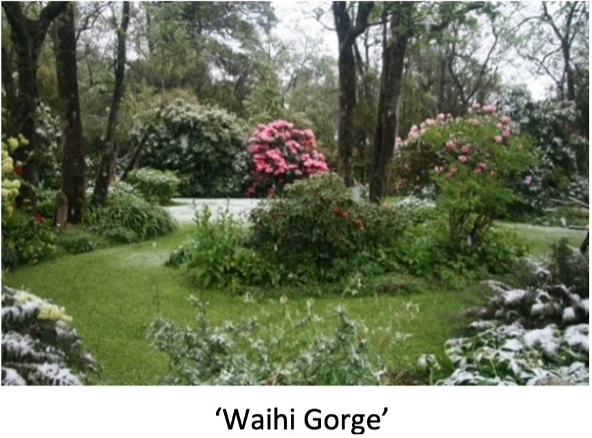 Waihi Gorge