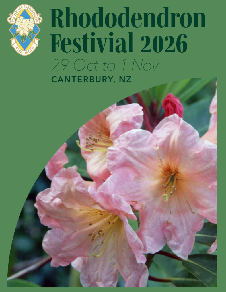 festival-2026